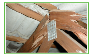 Termite-Damage-To-Roof