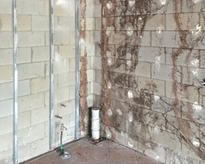 This picture shows mud workings up a concrete wall This picture shows mud workings up a concrete wall